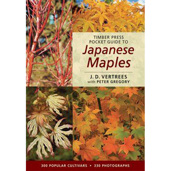 Pocket Guide to Maples- Peter Gregory - Essence of the Tree