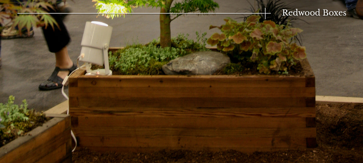 Redwood Boxes
